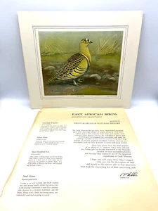 1930 Louis Fuertes Lowe's Sand Grouse Print w/ Letter from Field Museum of NH - Picture 1 of 3