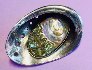 Vintage Signed Jewelry La Jolla Pin Abalone Shell Sterling Silver Brooch - Picture 1 of 6