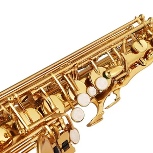 Alto Saxophone E Flat Brass Electrophoresis Gold Treated Bending Tube Saxoph - Bild 1 von 21