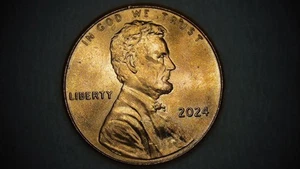2024 Lincoln Shield - Die Crack - Picture 1 of 6