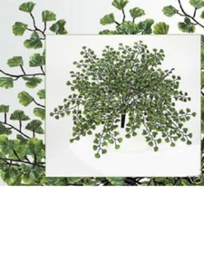 24" Maiden Haarfarn künstliche Seidenpflanze Dekor (6er Pack) 840GRTT - Bild 1 von 1