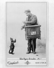 Poster: The Organ Grinder, 1892