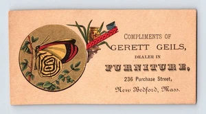New Bedford MA Gerett Geils Butterfly Furniture 1890s Trade Card 2,25" x 4,25" - Foto 1 di 2