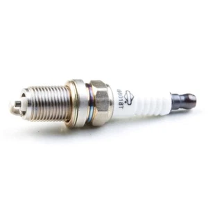 Briggs and Stratton OEM 798615 - PLUG-SPARK - Imagen 1 de 1