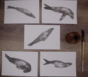 Selkie Postcard Set. Original Black Ink Artworks - Picture 1 of 6