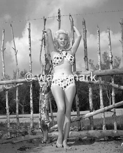 PIN UP MODELO LISA WINTERS - FOTO PUBLICITARIA 8X10 - Imagen 1 de 1