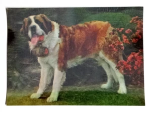 St Bernard Dog with Keg Lenticular Postcard 3D Card Toppan Japan Novelty UNP - Picture 1 of 2