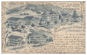 S9014/ Adelboden - Pension Hari zum Schlegeli Schweiz Litho AK 1905 - Bild 1 von 2