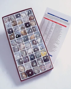 USA ROCK MINERAL FOSSIL COLLECTION - Picture 1 of 1