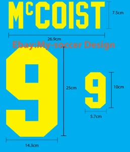 McCOIST #9 Scotland Home EURO 1996 FLOCK VELVET NAME NUMBER PRINT - Picture 1 of 7