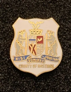 County Of Hastings Ontario Canada Coat Of Arms Gold Tone Lapel Pin - SPA - Picture 1 of 4