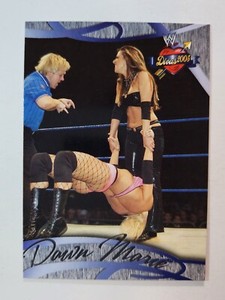 2004 Fleer WWE Divine Divas 2005 - #29 DAWN MARIE