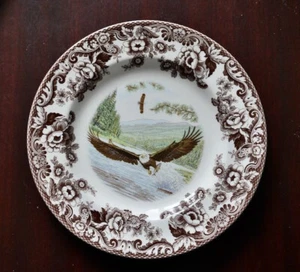 Spode Woodland Raubvogel Weißkopfseeadler Essteller ""NEU mehrere verfügbar - Bild 1 von 5