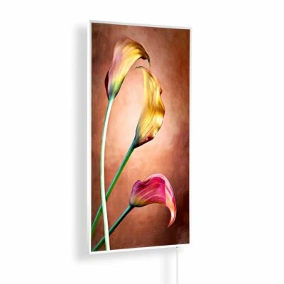 KÖNIGHAUS Infrarot Bildheizung 300-1200 Watt TÜV & GS Infrarotheizung mit Thermostat-180