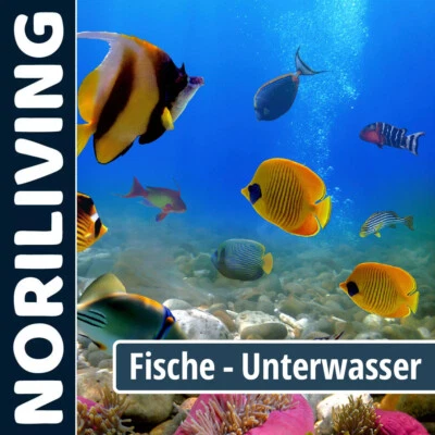 Duschrückwand Aluverbund Fugenlos Wandverkleidung Fische-Unterwasser - Bild 1 von 4