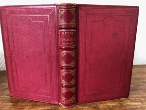 H. Dixon DIE WEISSE EROBERUNG Reise in die Vereinigten Staaten von Amerika BEIL (1877) - Bild 1 von 10