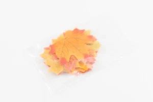 Arts and Craft Photography Backdrop set of 20 Red Orange Green Yellow Lime Color - Picture 1 of 8
