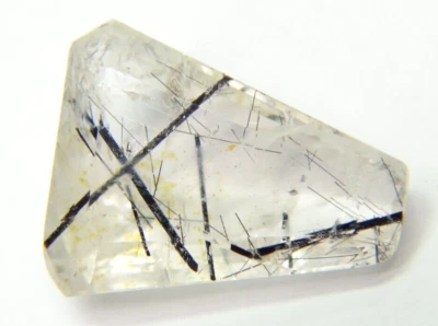 Cuarzo Rutilado Natural A-2 18.23ct 22x17x8mm Brasil Corte Trillón Negro Dorado Foto 1 de 4