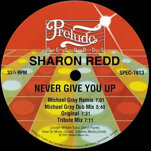 Sharon Redd - Never Give You Up (Incl. Michael Gray Remix) - Picture 1 of 1
