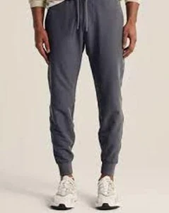 Abercrombie & Fitch Men's Traveler Jogger Skinny Pants Stretch Gray Small - Picture 1 of 7