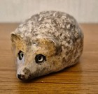 Winstanley Rare  Baby Hedgehog Size D