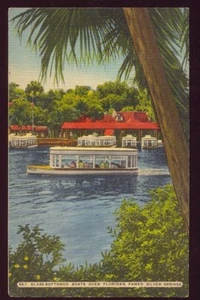 Glass Bottomed Boats FLORIDA'S Famed Silver Springs PC - Picture 1 of 1