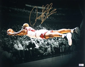 Dennis Rodman Autographed/Signed Spotlight Chicago Bulls 16x20 Photo PIA Witness - Picture 1 of 3
