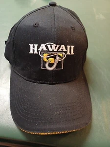 Hawaii Mütze USA Erwachsene Größe verstellbar Mütze Kappe Herren Damen Stickerei Surfwear - Bild 1 von 6