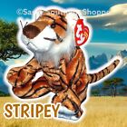 ❤️ 2005 STRIPEY the TIGER Ty® Beanie Babies 15th Gen Hang & 13th Gen Tush Tags