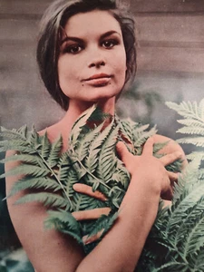 1957 Esquire Original Article Photos SUSAN HARRISON Peter Basch - Picture 1 of 2