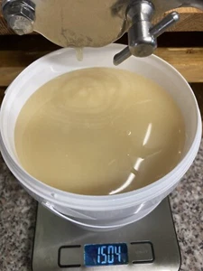 1,5 Kg Honig Blüte Raps Obst Löwenzahn Linde Cremig vom Imker aus Thüringen - Bild 1 von 5