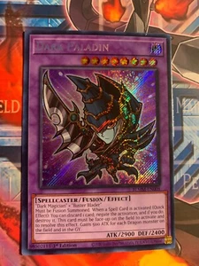 Dark Paladin - Battles of Legend: Monster Mayhem (BLMM) - Picture 1 of 1