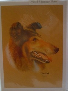Rough Collie Blank Greeting Card