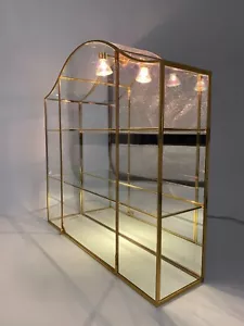* SAMMLERVITRINE DISPLAY GLAS GOLD GLASTÜREN HALOGEN BELEUCHTET SETZKASTEN - Bild 1 von 10
