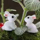 12 PCS Childrens Toys Rabbit Landscape Ornament Animal Bonsai