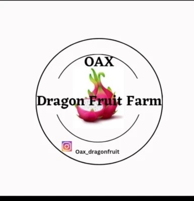 Mature “Valdivia Roja” Dragón Fruit Cuttings - Image 1 of 4