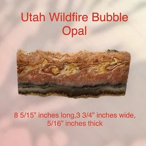 Museumsqualität Utah Lauffeuerblase Opal Probe. - Bild 1 von 6