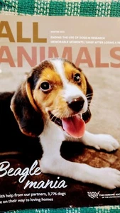 ALL ANIMALS WINTER 2023 BEAGLE MANIA - Picture 1 of 24