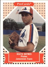 1991-92 ProCards Tomorrow's Heroes #272 Heath Haynes