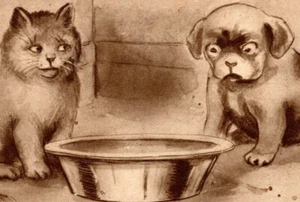 c1910 A Corner In Milk, antique postcard, kitten and puppy, cute, Roth & Langley - Picture 1 of 3