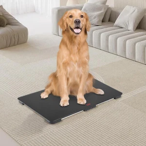 Small Pet Animal Scale G-Sensor LCD Weighing Scales for Pet Stores, Hospitals - Picture 1 of 22
