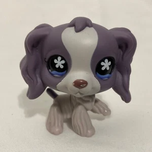 LPS Littlest Pet Shop Cocker Spaniel Flower Eyes Purple Ears 2006 Hasbro - Picture 1 of 5