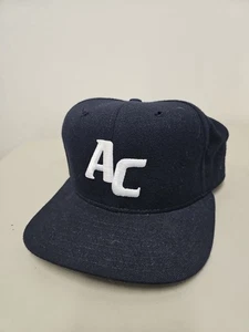 Vintage Albany Colonie Yankees New Era Pro Model Hat 7 1/2  - Picture 1 of 10