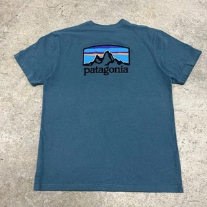 Patagonia Blue T Shirt Adult Size Large Hiking Mountain Logo Nature Colorful - Picture 1 of 7