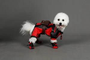 New Dogpool Cosplay Deadpool 3 Wade Wilson Outfit Stretchy Costume Halloween - Picture 1 of 12