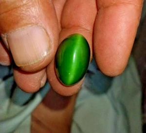 23,70 kt natürlicher Nephrit Jade Katzenauge Cabochon Top Qualität aus Pakistan - Bild 1 von 2
