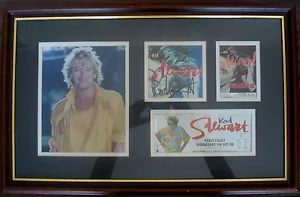 BRILLIANT FRAMED AND SIGNED ROD STEWART DISPLAY WITH TICKET AND STAGE HAND PASS - Imagen 1 de 3