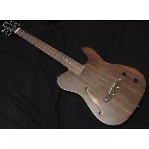 SCHECTER OL-FL-P RNT Thin Body Acoustic Guitar F Hole Telecaster with gig bag - Picture 1 of 7