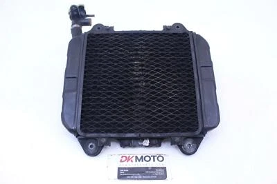 Kawasaki Ninja 250R 2003 radiador de motor OEM con montaje de tapa R8,BX5 Foto 1 de 4