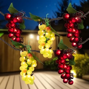 Northlight 5 Red and Green Grape Cluster String Lights - 6ft. Green Wire - Picture 1 of 10